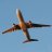 PacificTravelGuru