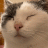 hnyb