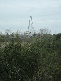 24571590187_e883b15490_n.jpg