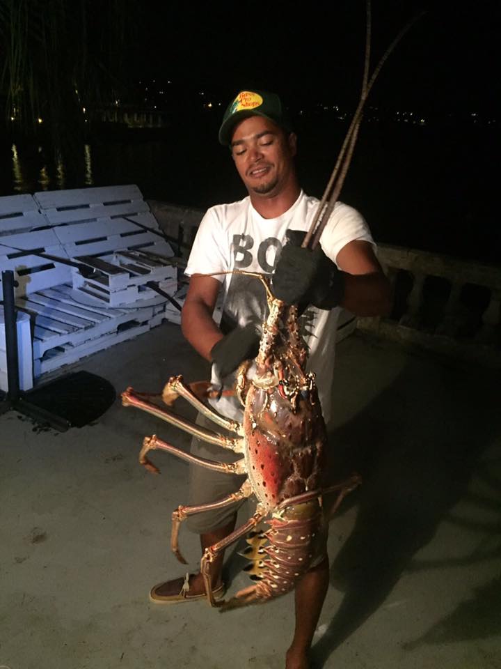 lobster_3.jpg