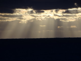 33364151463_159fd334d2_n.jpg