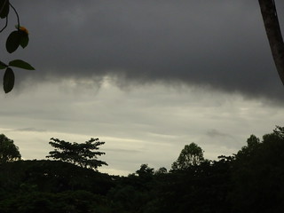 35760735802_44e7485270_n.jpg