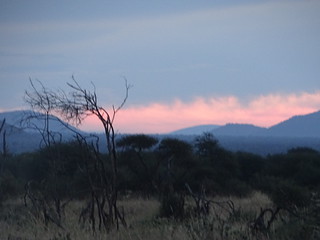 33384225113_d72f55857c_n.jpg