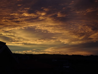 40288758232_1afb42f90d_n.jpg