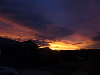 40288757792_960b8bf262_n.jpg