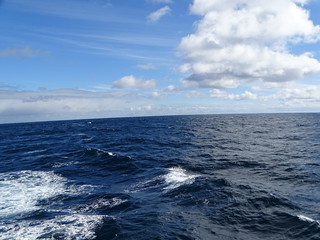 33620725436_194f44b66d_n.jpg