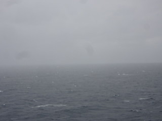 46106556615_80d56f8ee1_n.jpg
