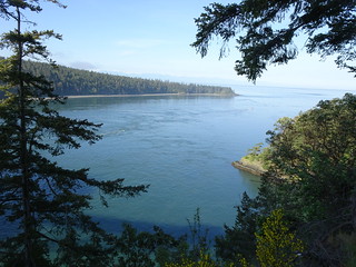 42381802082_c973fd4b03_n.jpg