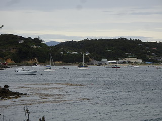 47098061881_fdc4c2d205_n.jpg