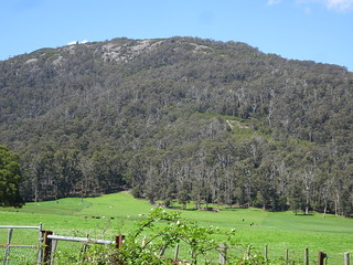 37928126766_0e267579ac_n.jpg