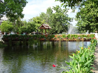 31319961624_9ac896df5c_n.jpg