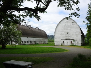 41686602014_75659d7673_n.jpg
