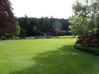 41653017305_40eecedf06_n.jpg