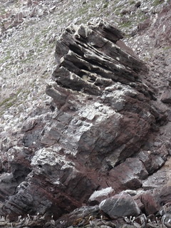 41662409252_fce9176e04_n.jpg