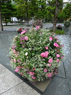 28682887258_aac4467384_n.jpg