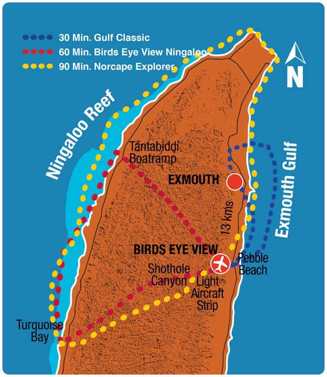 www.birdseyeview.net.au