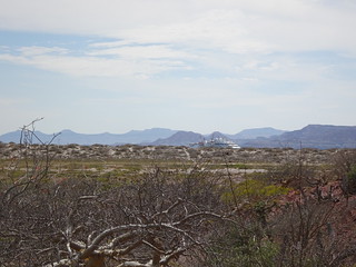 27138385097_76d44ae297_n.jpg