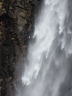 42042922740_047572eb1d_n.jpg