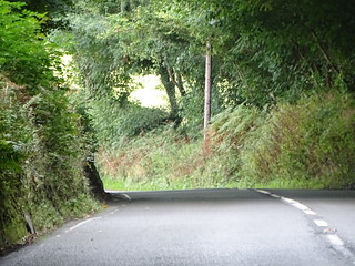 29962479395_c600bcc51e_n.jpg