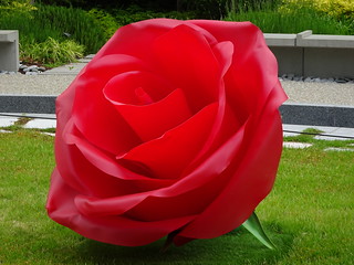 41655081105_1e609d27fe_n.jpg