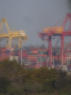 44563310532_3112129f38_n.jpg