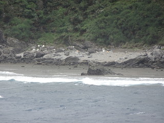 45083547652_24c04e2905_n.jpg