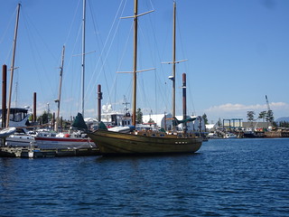 41812352254_ec1ec0e853_n.jpg
