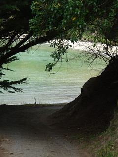 46184239785_c5e485b884_n.jpg