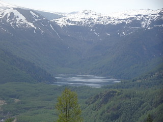 28491649388_2de62a2af1_n.jpg