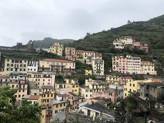 IMG_7787.jpg