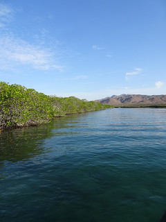 41151840335_ab77a93d5c_n.jpg