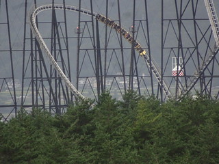 44643284602_051eddde75_n.jpg