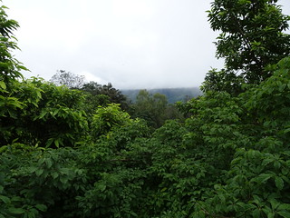 35760739332_df60442a2b_n.jpg