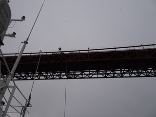 27462586887_57649130d6_n.jpg