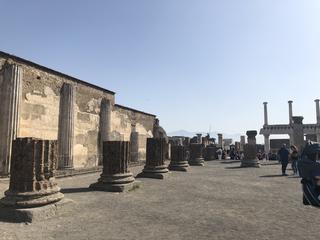 IMG_6010.jpg