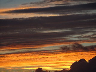 45132604331_f92986a4ac_n.jpg