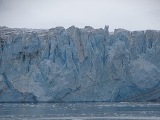 33700407085_7120a6c48a_n.jpg