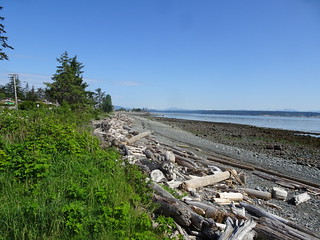 42483293072_bd63226c5b_n.jpg