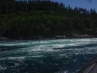 27664616967_1c737fc794_n.jpg