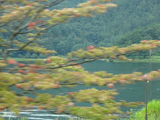 43973920174_e8b8b66762_n.jpg