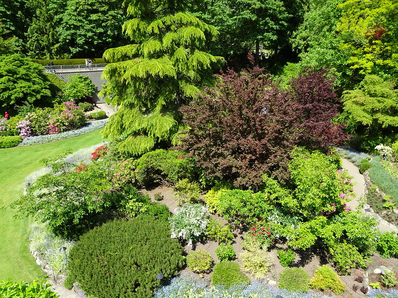 40746323190_9453b811c3_c.jpg