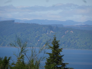 27486610177_bd980c73ea_n.jpg