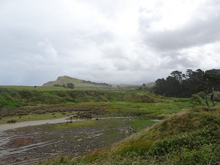 40390637403_f69efe63fa_n.jpg