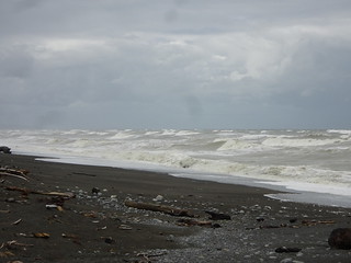 47303216062_fc39d899f2_n.jpg