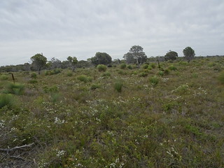 45772951865_fea3181bd6_n.jpg