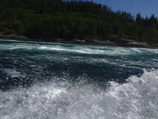 41812340004_54df6789dc_n.jpg