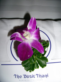 IMGP0018.JPG