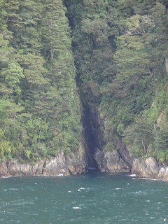 47025134392_caa7448c1b_n.jpg