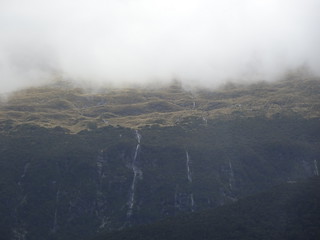 47003592942_c738c31672_n.jpg