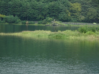 44643280492_6098daae72_n.jpg